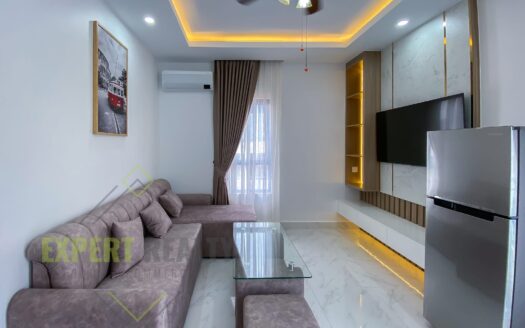 Beautiful and Modern 1 Bedroom Apartment