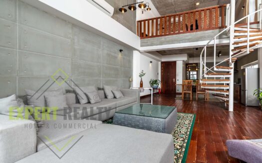 Beautiful and Modern 1 Bedroom Duplex Apartment